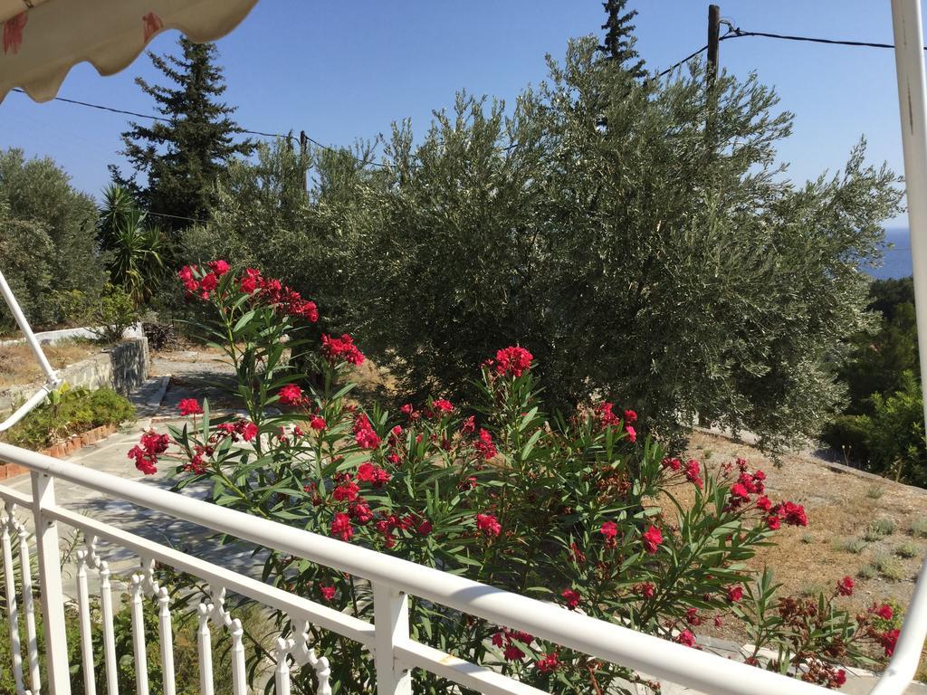 Villa Seretis Kokkari Bagian luar foto
